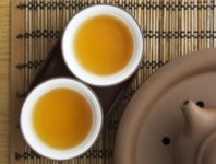 苦蕎茶與梔子花可以泡茶嗎？
