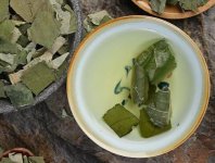 荷葉茶為什么叫短命茶？
