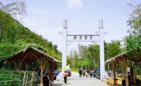 5月12日：徒步貢茶古道，天然氧吧，綠色之旅